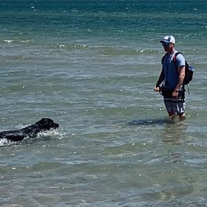 Meet your Posher, Dan